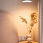 Cozy Spot In Kunigiskiai Apartamento
