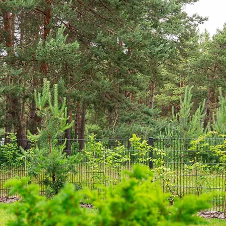 Cozy Spot In Kunigiskiai פלאנגה