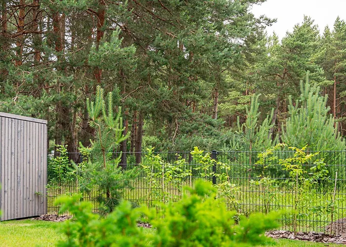 Cozy Spot In Kunigiskiai פלאנגה